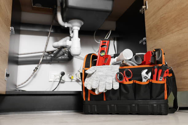 Best Plumbing Repair Near Me  in Dickinson, TX